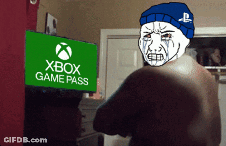 Xbox Game Pass Punched Meme GIF