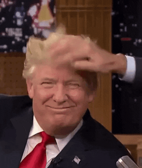 Xddd GIF