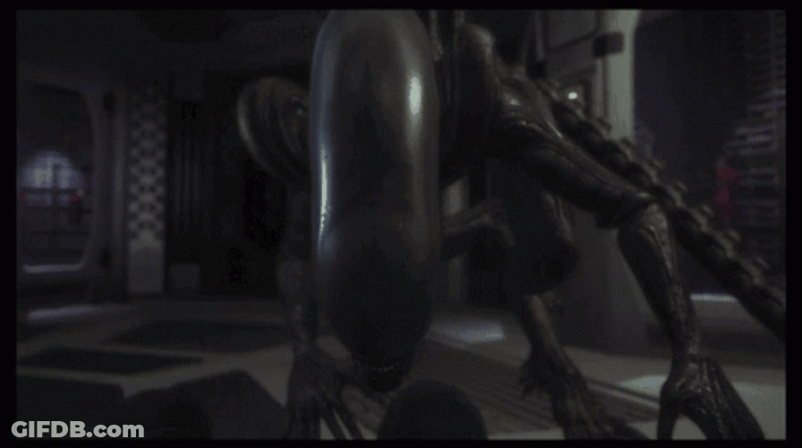 Xenomorph Look At The Camera GIF