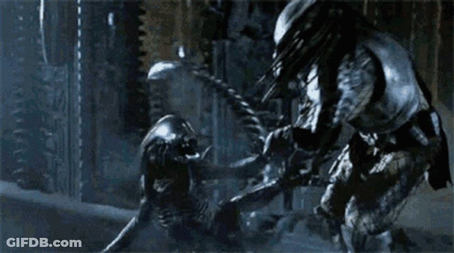 Xenomorph Vs Predator GIF