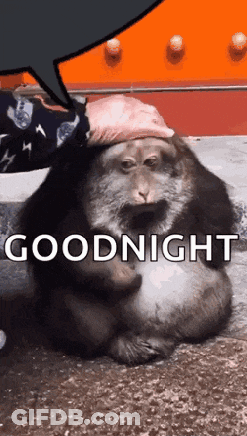 Xinging Xinging Monkey GIF