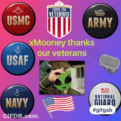 Xmooney Thanks Our Veterans With A Picture Of A Soldier GIF
