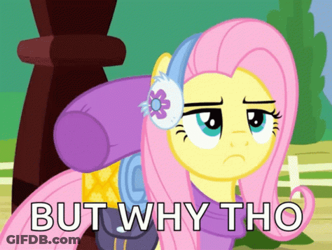 Y Tho My Little Pony Fluttershy GIF