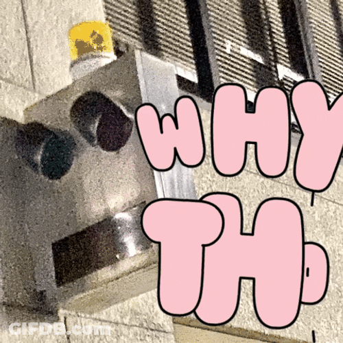 Y Tho Pink Words GIF