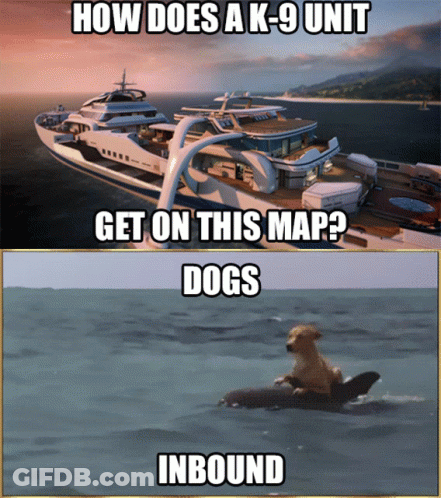 Yacht And Dog On Surfboard GIF