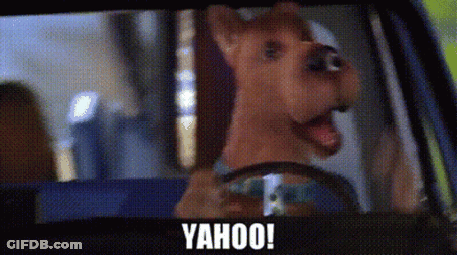 Yahoo Scooby Driving Car GIF