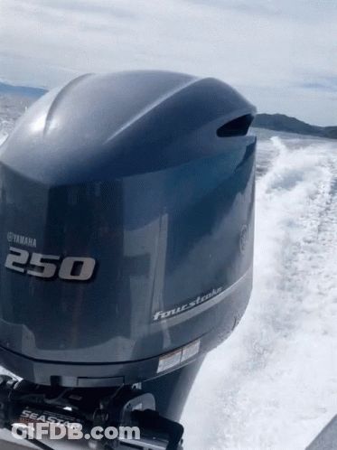 Yamaha 250 Four Stroke Outboard Motor On Boat GIF