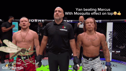 Yan Beating Marcus With Mosquito Effect GIF