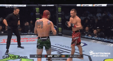 Yan Vs O'Malley Boxing Match DraftKings Sportsbook GIF