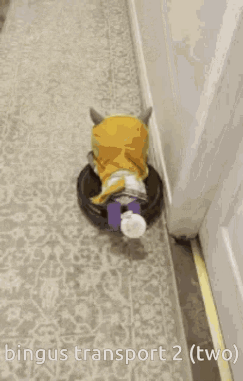 Yanfei Bingus Transportation GIF