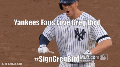 Yankees Fan Sign Greg Bird GIF