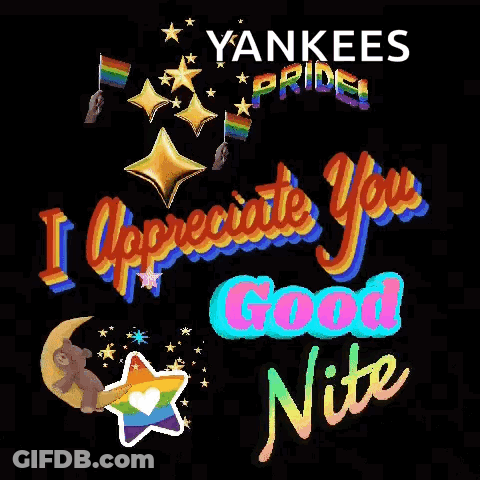 Yankees Pride I Appreciate You Good Night Poster GIF