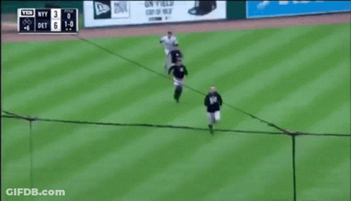 Yankees Vs Detroit Tigers Baseball Game GIF