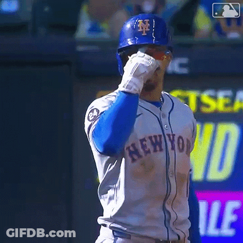 Yankees Vs Illinois Cubs Baseball Game GIF
