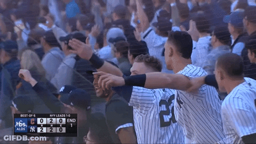 Yankees Win Aaron Judge Went Crazy GIF