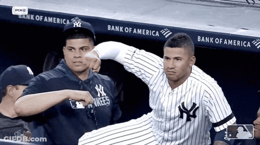 Yankees Win Gleyber Torres GIF