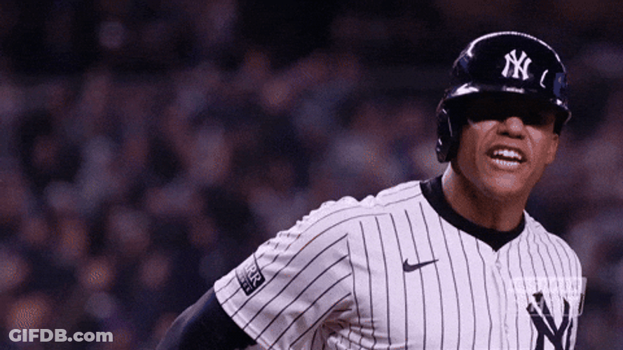 Yankees Win Juan Soto Went Crazy GIF
