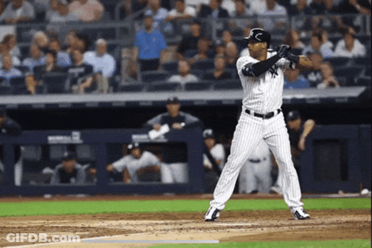 Yankees Win The Battle GIF