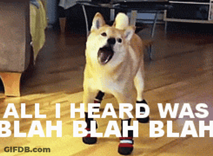 Yapping Talkative Cute Shiba Inu GIF