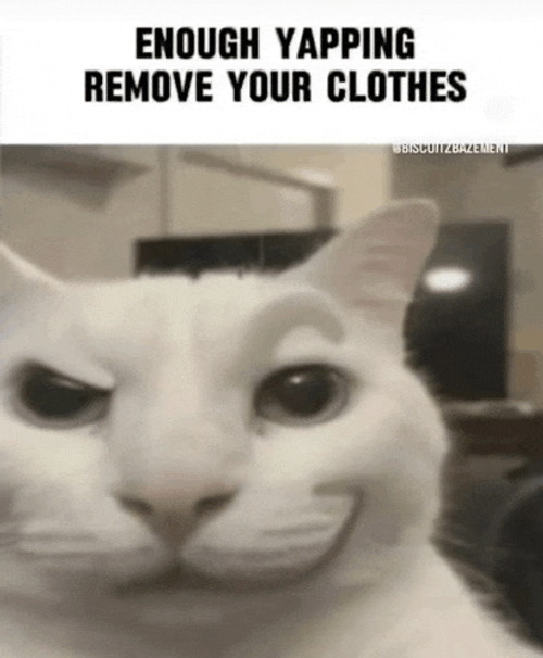 Yapping Yapping Cat Meme GIF