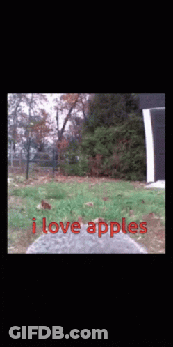 Yard Saying I Love Apples GIF