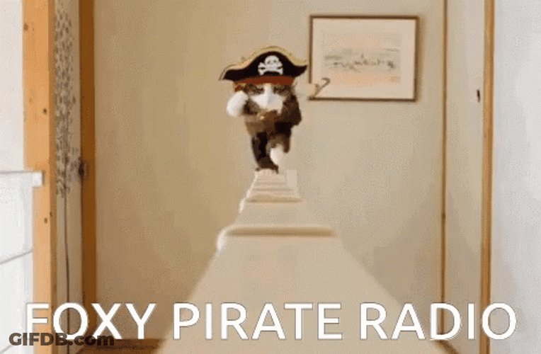 Yarp Walking Pirate Cat GIF