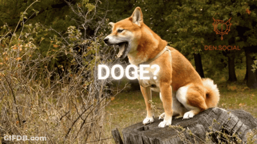 Yawning Big Doge Meme GIF