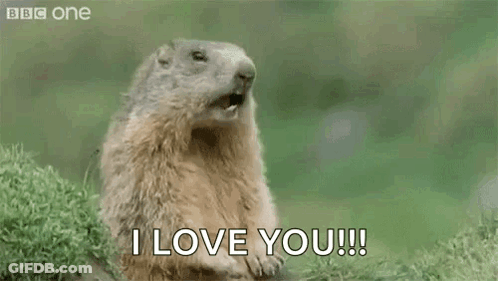Yawning Groundhog Saying Hey I Love You GIF