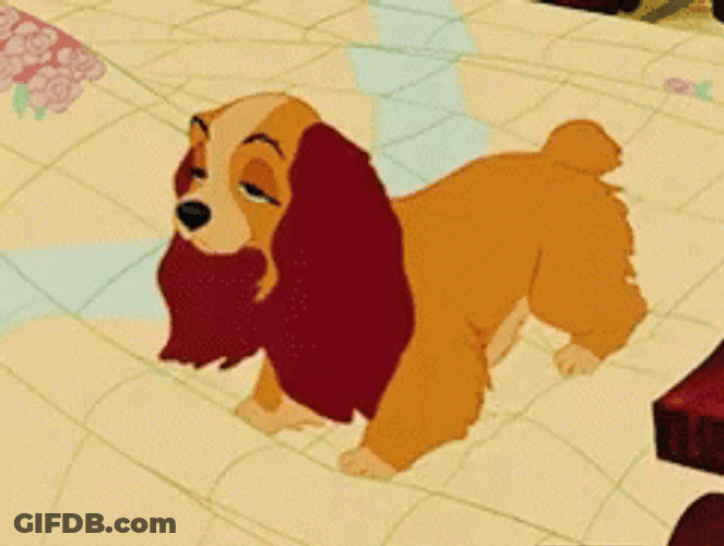 Yawning Lady And The Tramp GIF