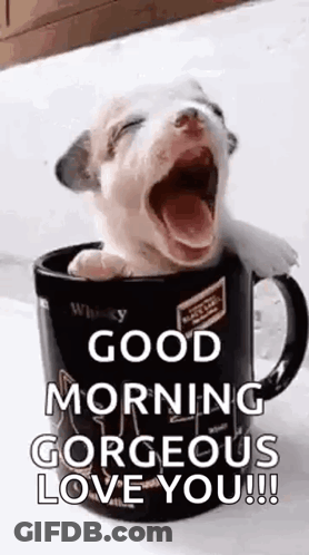 Yawning Puppy In Coffee Mug Saying Good Morning GIF