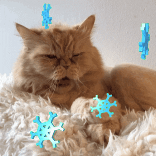 Yawning Sleepy Cat GIF