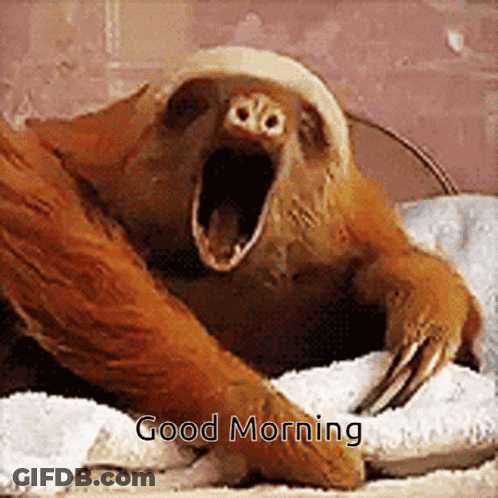 Yawning Sloth With Good Morning GIF