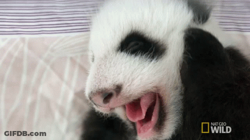 Yawning Woman With Bored Just Looking At How Easy That Is GIF