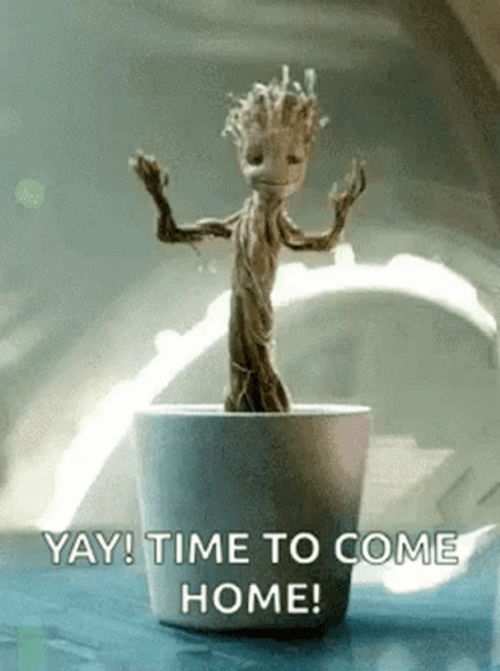 Yay Meme Time To Come Home GIF