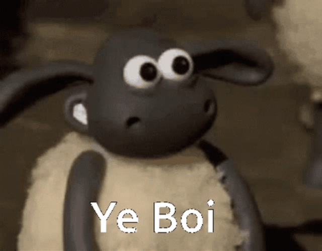 Ye Boi Sheep Thumbs Ups GIF