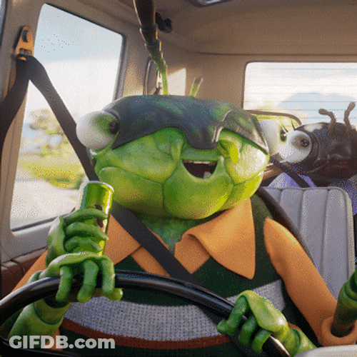 Yeah Boi Driving Beetle Meme GIF