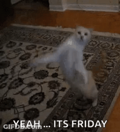 Yeah Friday Cat Dancing GIF