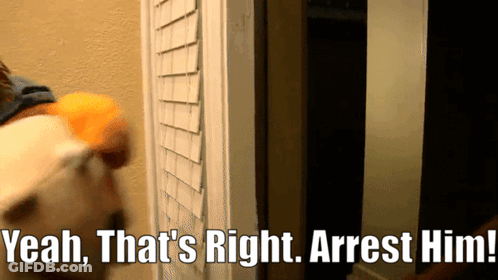Yeah That's Right Arrest Him GIF