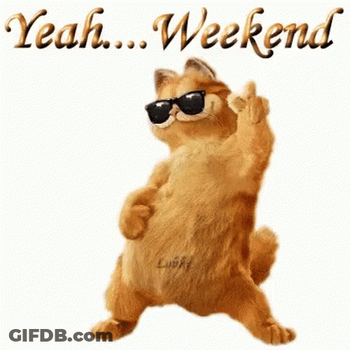 Yeah Weekend Happy Garfield Dancing GIF