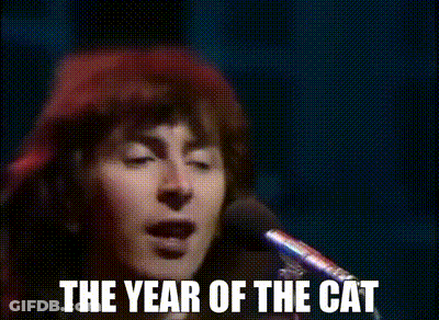 Year Of The Cat GIF