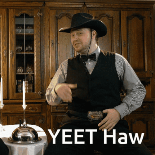 Yeet Haw Cowboy Pun GIF