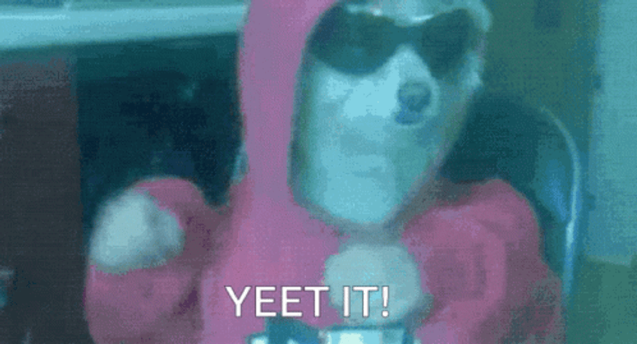 Yeet It Funny Dog GIF