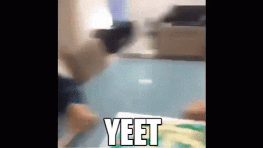 Yeet Scrabble Winner Hit GIF