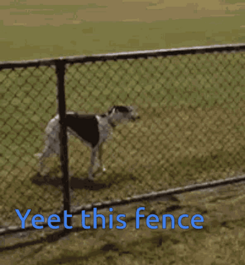 Yeet This Fence Dog GIF