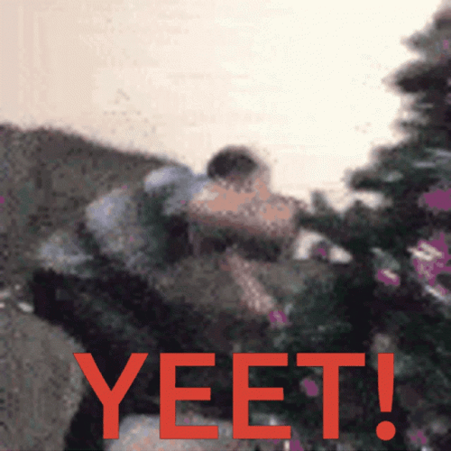 Yeet Throw Christmas Tree GIF