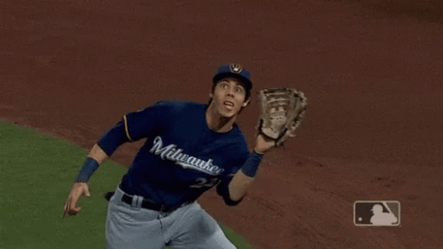 Yelich Catches Ball And Overrun To Audience GIF