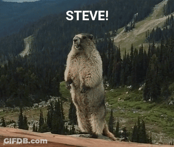 Yelling Beaver Steve GIF