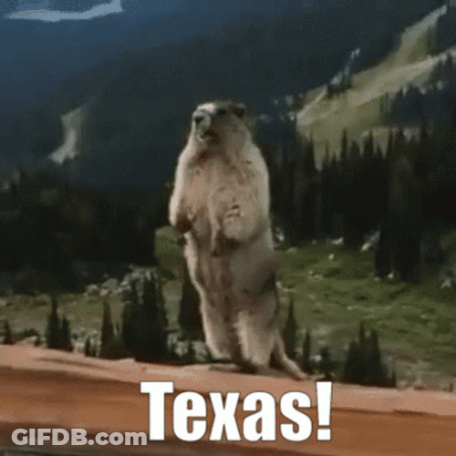 Yelling Gopher In Texas GIF
