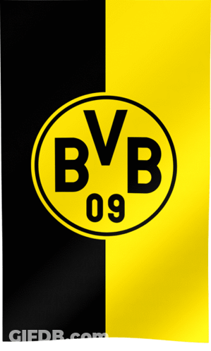 Yellow And Black BVB 09 Logo GIF