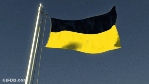 Yellow And Black Flag Waving GIF
